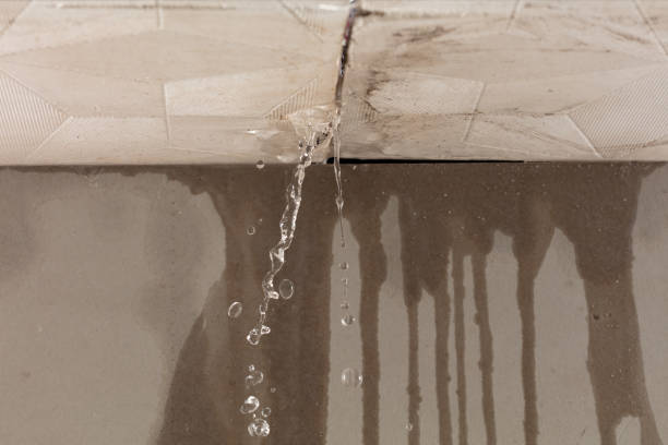 Professional Water Damage Repair technician working in Lamont, MI